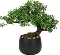 Artificial Bonsai Tree in Ceramic Pot